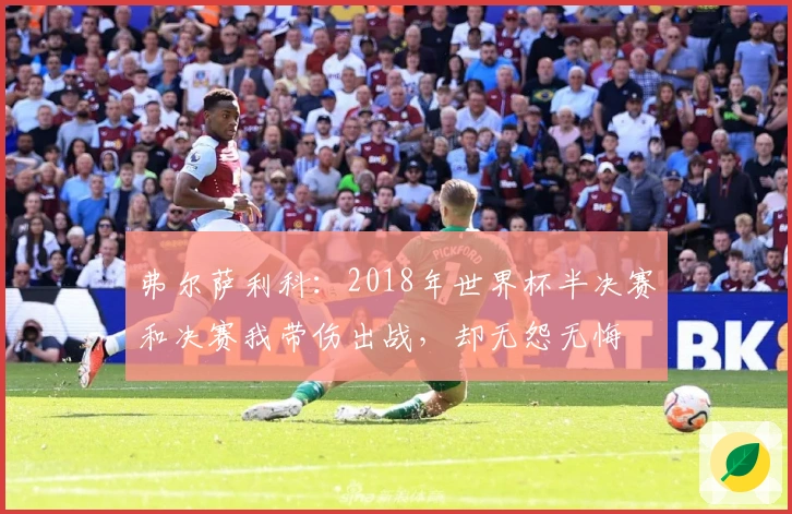 弗尔萨利科：2018年世界杯半决赛和决赛我带伤出战，却无怨无悔